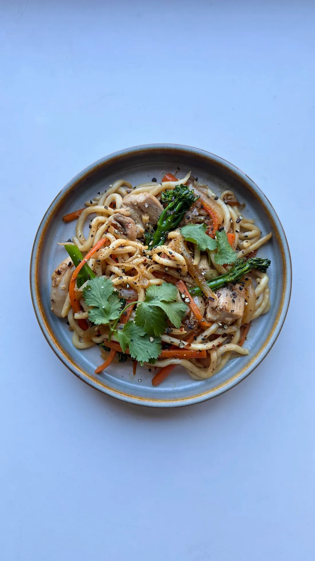 Foto de Udon Stir Fry